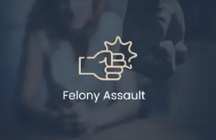 Felony Assault